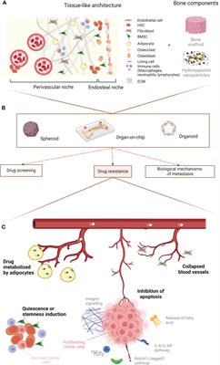 In vitro models of breast cancer bone metastasis: analyzing drug resistance through the lens of the microenvironment